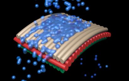 A Comparison Between Water-Based and Solvent-Based Coatings